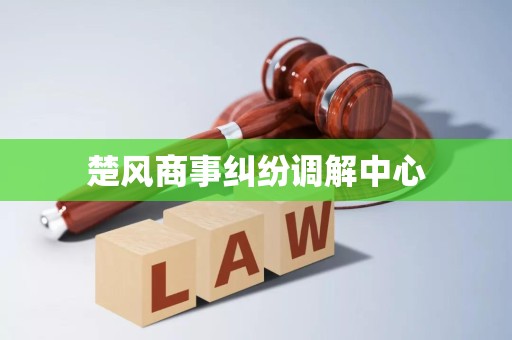 楚风商事纠纷调解中心破产清算服务 专业、高效、公正的债务解决方案